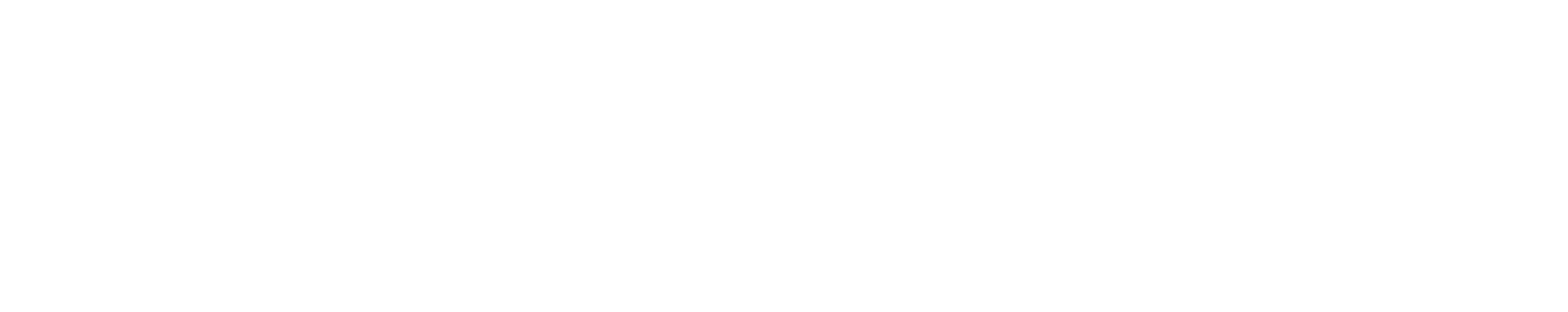 Digital Forge
